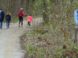 Wandern am Loebauer Berg